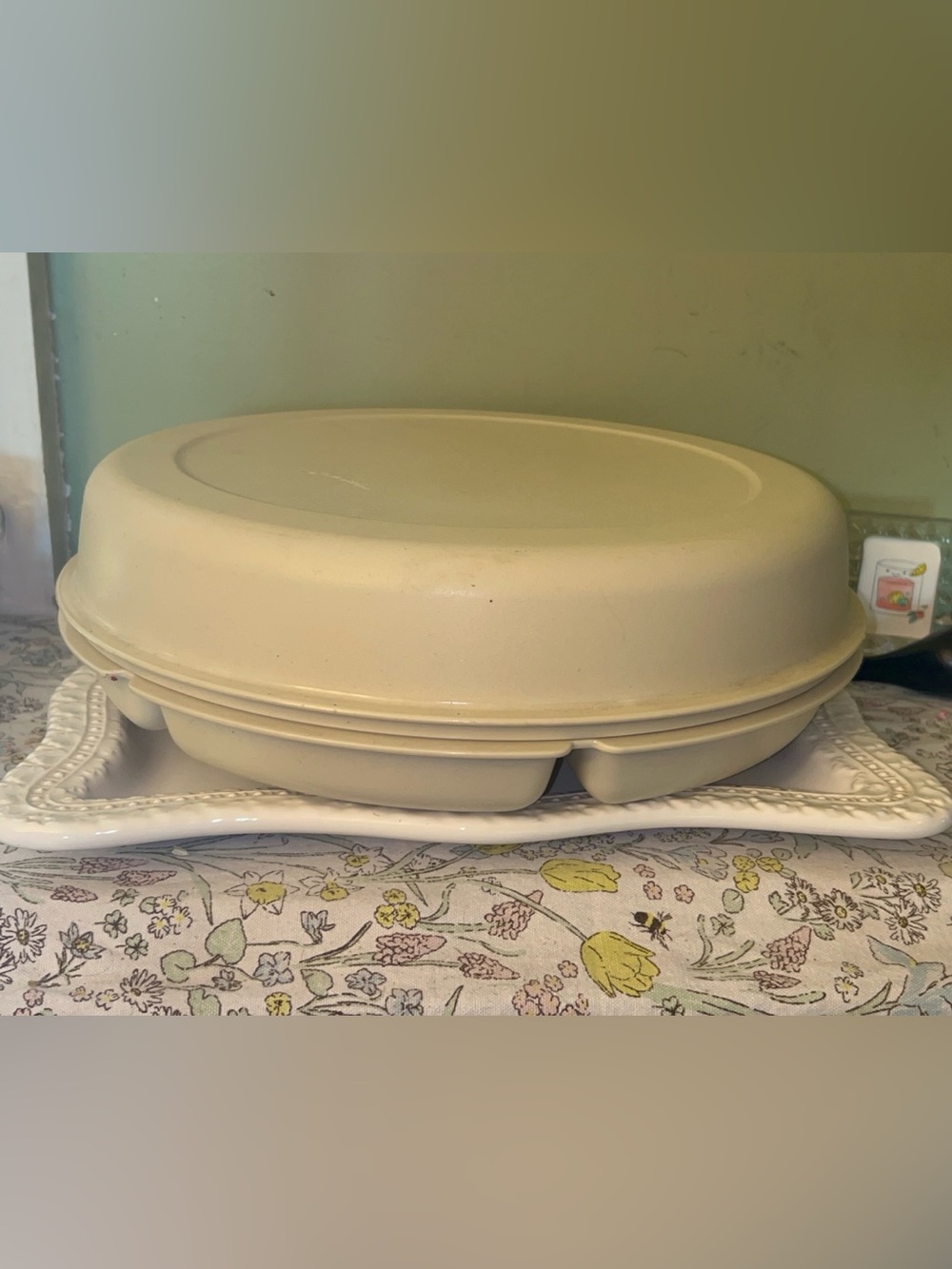 Tupperware Serving Center divided vegetable and dip party tray full set